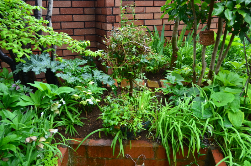 f:id:mitioyoneko:20120423110944j:image f:id:mitioyoneko:20120423110944j:image