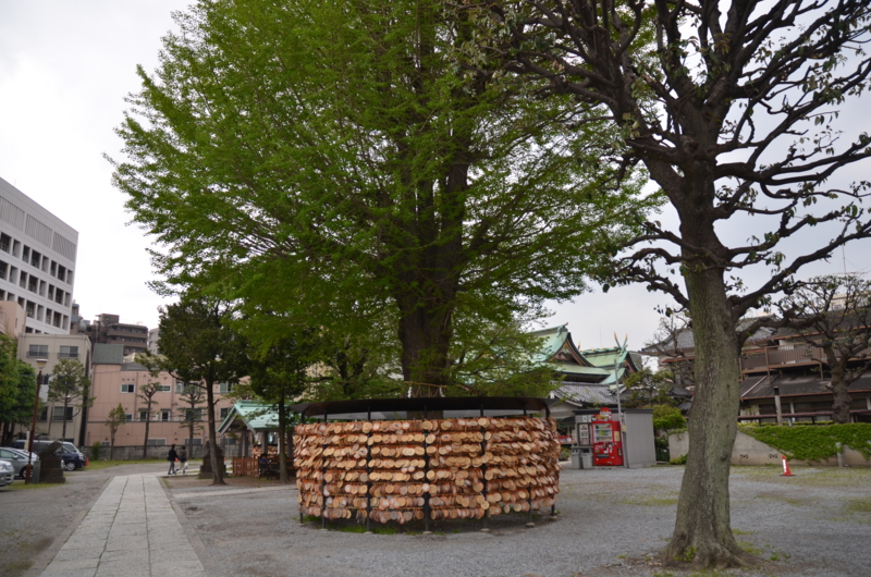 f:id:mitioyoneko:20120425140446j:image