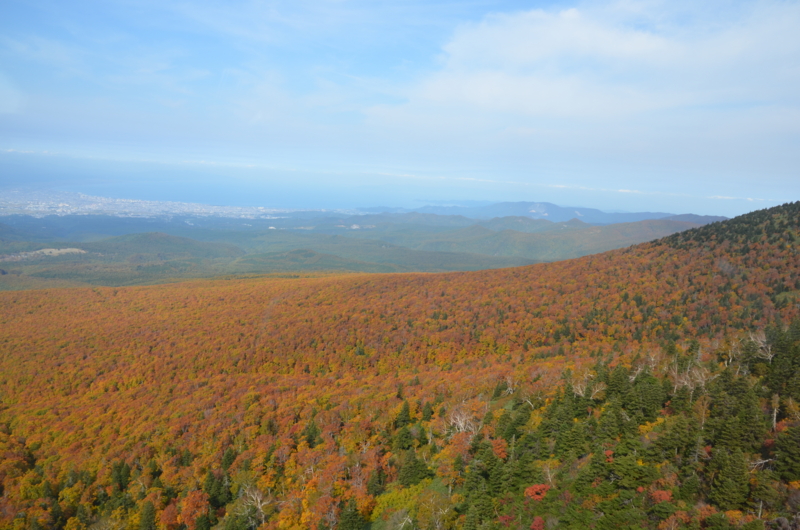 f:id:mitioyoneko:20121022120712j:image