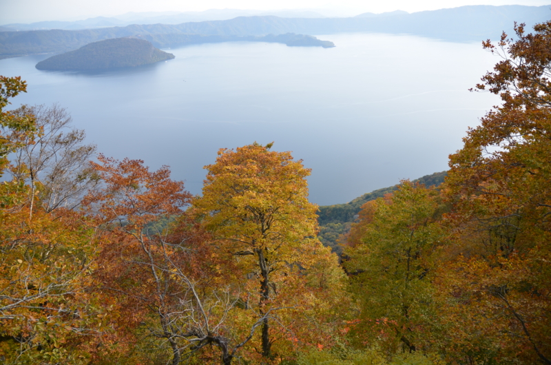 f:id:mitioyoneko:20121022145217j:image