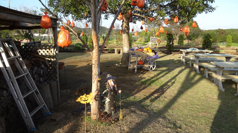 f:id:mitioyoneko:20121027154723j:image