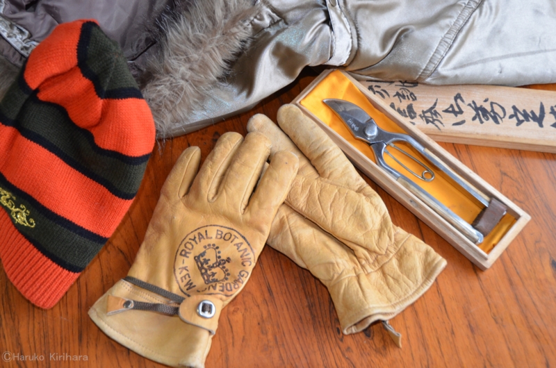 f:id:mitioyoneko:20130206100928j:image f:id:mitioyoneko:20130206100928j:image