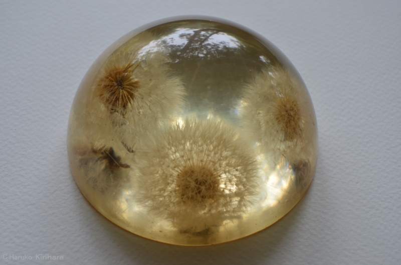 f:id:mitioyoneko:20130521105414j:image