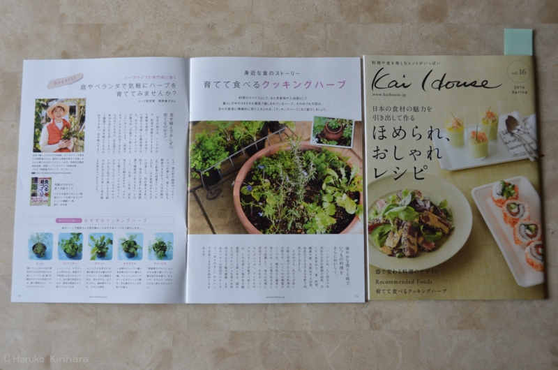 f:id:mitioyoneko:20140327114900j:image