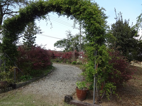 f:id:mitioyoneko:20140428100353j:image