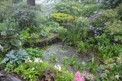 f:id:mitioyoneko:20140611220800j:image