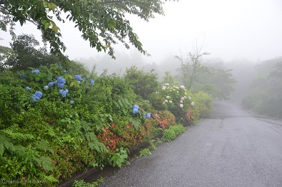 f:id:mitioyoneko:20140611220802j:image