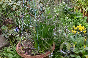 f:id:mitioyoneko:20150320092959j:image