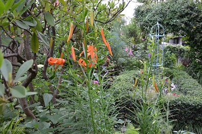 f:id:mitioyoneko:20150614203153j:image