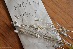 f:id:mitioyoneko:20150614203154j:image