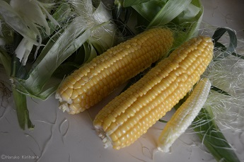 f:id:mitioyoneko:20150727134256j:image