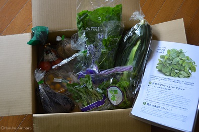 f:id:mitioyoneko:20150727134259j:image