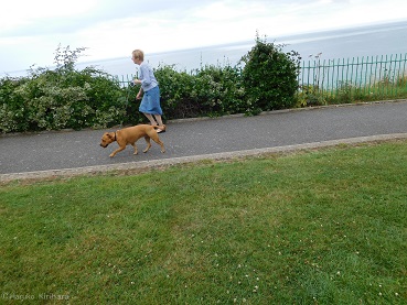 f:id:mitioyoneko:20150729142700j:image