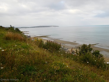 f:id:mitioyoneko:20150729142702j:image