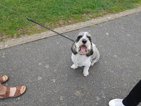 f:id:mitioyoneko:20150729142703j:image