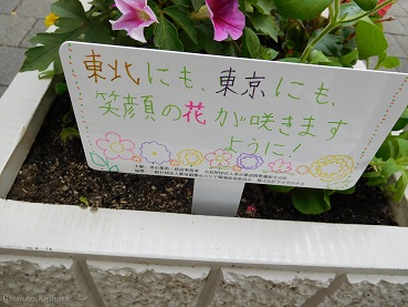 f:id:mitioyoneko:20150731223224j:image