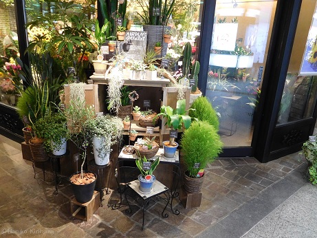 f:id:mitioyoneko:20150731223228j:image