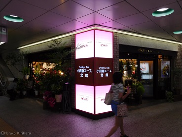 f:id:mitioyoneko:20150731223229j:image