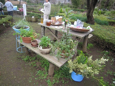 f:id:mitioyoneko:20151109131105j:image