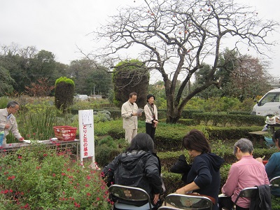 f:id:mitioyoneko:20151109132811j:image