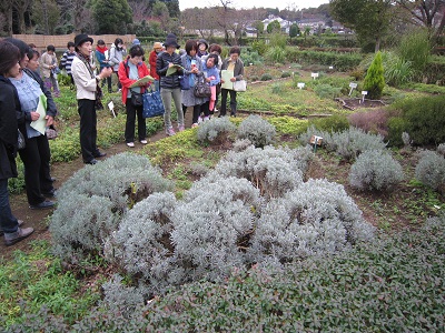 f:id:mitioyoneko:20151109145729j:image