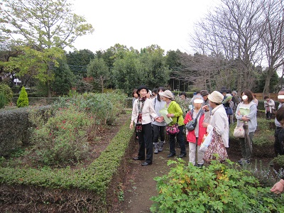 f:id:mitioyoneko:20151109150755j:image