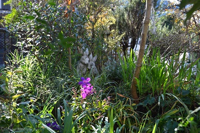 f:id:mitioyoneko:20151209092325j:image