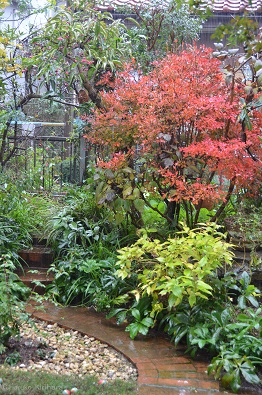 f:id:mitioyoneko:20151211090639j:image