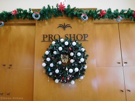 f:id:mitioyoneko:20151227091819j:image