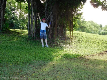 f:id:mitioyoneko:20151227091822j:image