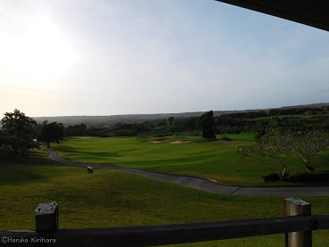 f:id:mitioyoneko:20151227091824j:image