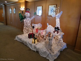 f:id:mitioyoneko:20151227091852j:image