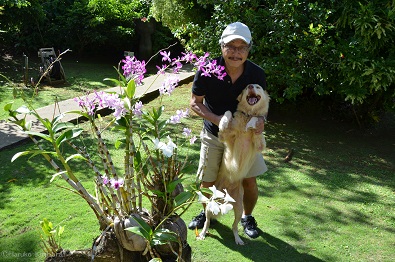 f:id:mitioyoneko:20151228145831j:image