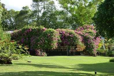 f:id:mitioyoneko:20151228145834j:image