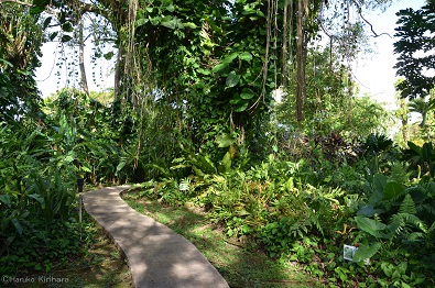 f:id:mitioyoneko:20151228145835j:image