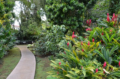 f:id:mitioyoneko:20151228145836j:image