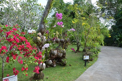 f:id:mitioyoneko:20151228145837j:image