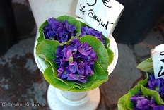 f:id:mitioyoneko:20160224150234j:image