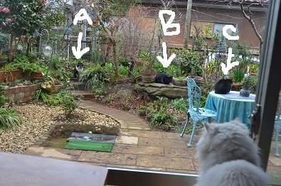 f:id:mitioyoneko:20160225175519j:image f:id:mitioyoneko:20160225175519j:image