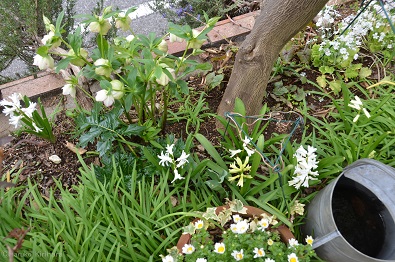 f:id:mitioyoneko:20160316171434j:image