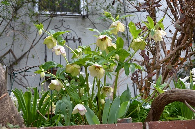 f:id:mitioyoneko:20160316171439j:image