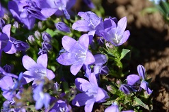 f:id:mitioyoneko:20160319103047j:image