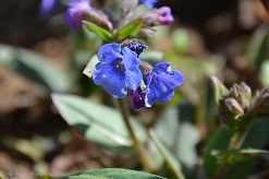 f:id:mitioyoneko:20160319103048j:image f:id:mitioyoneko:20160319103048j:image