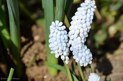 f:id:mitioyoneko:20160319103049j:image f:id:mitioyoneko:20160319103049j:image