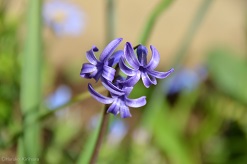 f:id:mitioyoneko:20160319103050j:image f:id:mitioyoneko:20160319103050j:image