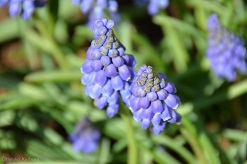 f:id:mitioyoneko:20160319103051j:image f:id:mitioyoneko:20160319103051j:image