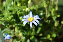 f:id:mitioyoneko:20160319103052j:image f:id:mitioyoneko:20160319103052j:image