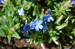 f:id:mitioyoneko:20160319103053j:image f:id:mitioyoneko:20160319103053j:image