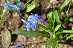 f:id:mitioyoneko:20160319103054j:image f:id:mitioyoneko:20160319103054j:image