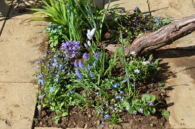 f:id:mitioyoneko:20160319103055j:image f:id:mitioyoneko:20160319103055j:image